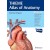 Internal Organs (THIEME Atlas of Anatomy) 4th Edition