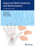 Hand and Wrist Anatomy and Biomechanics A Comprehensive Guide