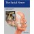 The Facial Nerve