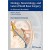 Otology, Neurotology, and Lateral Skull Base Surgery: An Illustrated Handbook